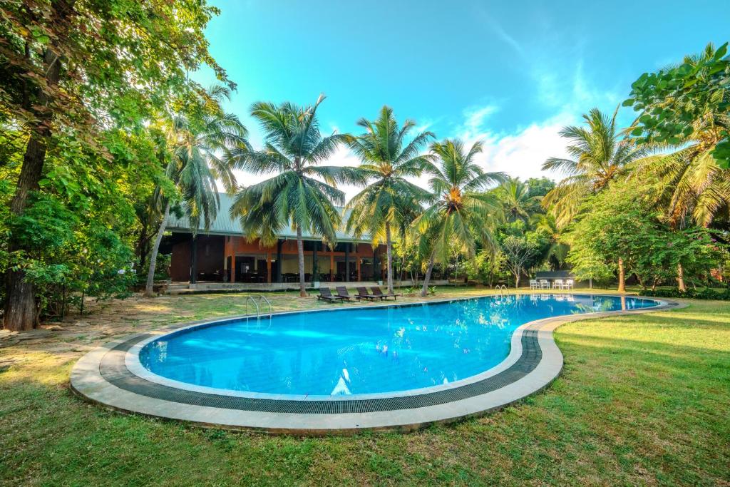 Swimming pool at Farm Villa