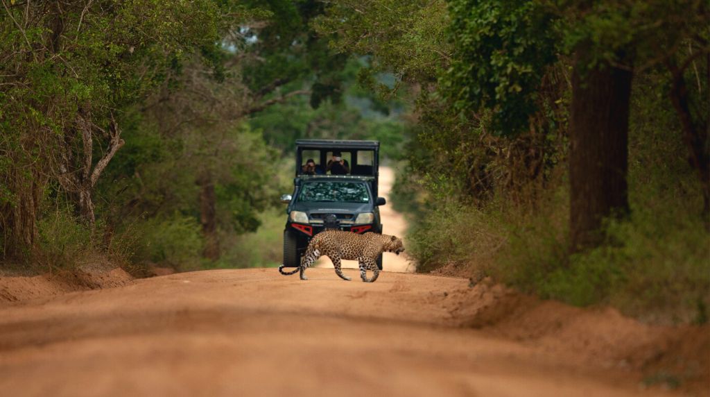 Yala safari from Farm Villa by Heritage